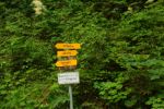 2014-07-05_Laengental-N-Hochweg (977). JPG
